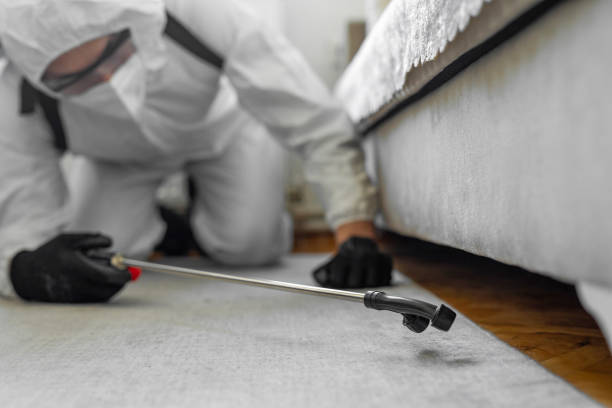 Professional Pest Control technician working in Gloucester County County, NJ